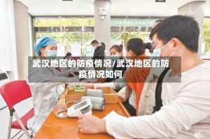 武汉地区的防疫情况/武汉地区的防疫情况如何