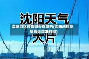 沈阳地区疫情哪天爆发的(沈阳地区疫情哪天爆发的啊)