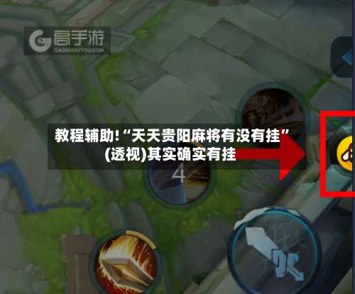 教程辅助!“天天贵阳麻将有没有挂”(透视)其实确实有挂-第2张图片