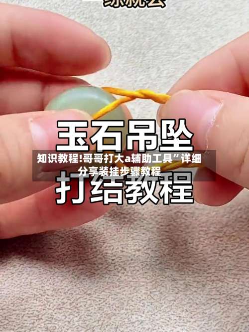 知识教程!哥哥打大a辅助工具”详细分享装挂步骤教程-第1张图片