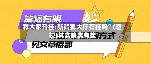 教大家开挂:新鸿狐大厅有挂吗”(透视)其实确实有挂-第1张图片
