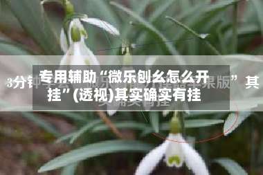 专用辅助“微乐刨幺怎么开挂”(透视)其实确实有挂-第1张图片