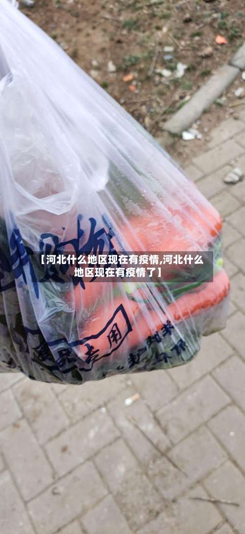【河北什么地区现在有疫情,河北什么地区现在有疫情了】-第1张图片