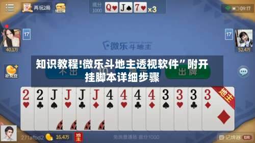 知识教程!微乐斗地主透视软件”附开挂脚本详细步骤-第1张图片