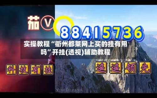 实操教程“衢州都莱网上买的挂有用吗	”开挂(透视)辅助教程-第1张图片