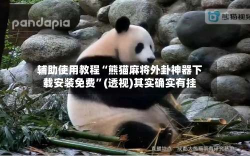 辅助使用教程“熊猫麻将外卦神器下载安装免费”(透视)其实确实有挂-第2张图片