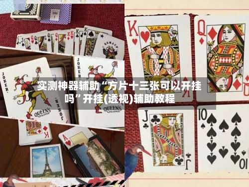 实测神器辅助“方片十三张可以开挂吗”开挂(透视)辅助教程-第2张图片