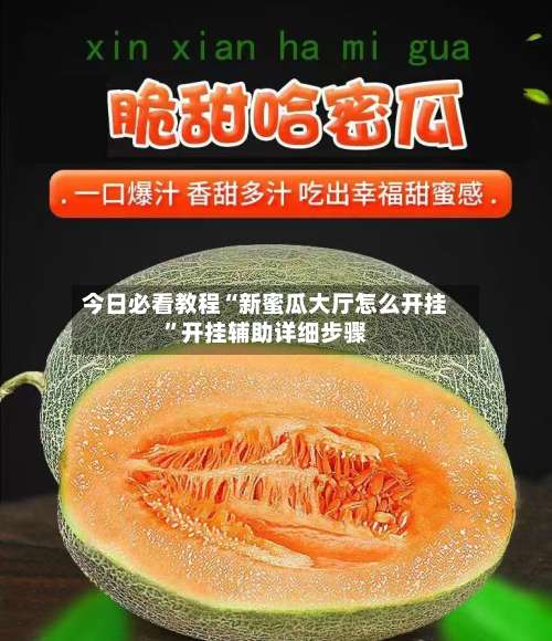 今日必看教程“新蜜瓜大厅怎么开挂	”开挂辅助详细步骤-第2张图片