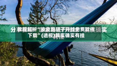 教程解析“皮皮跑胡子开挂免费软件下载	”(透视)其实确实有挂-第1张图片