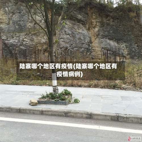 陆寨哪个地区有疫情(陆寨哪个地区有疫情病例)-第1张图片